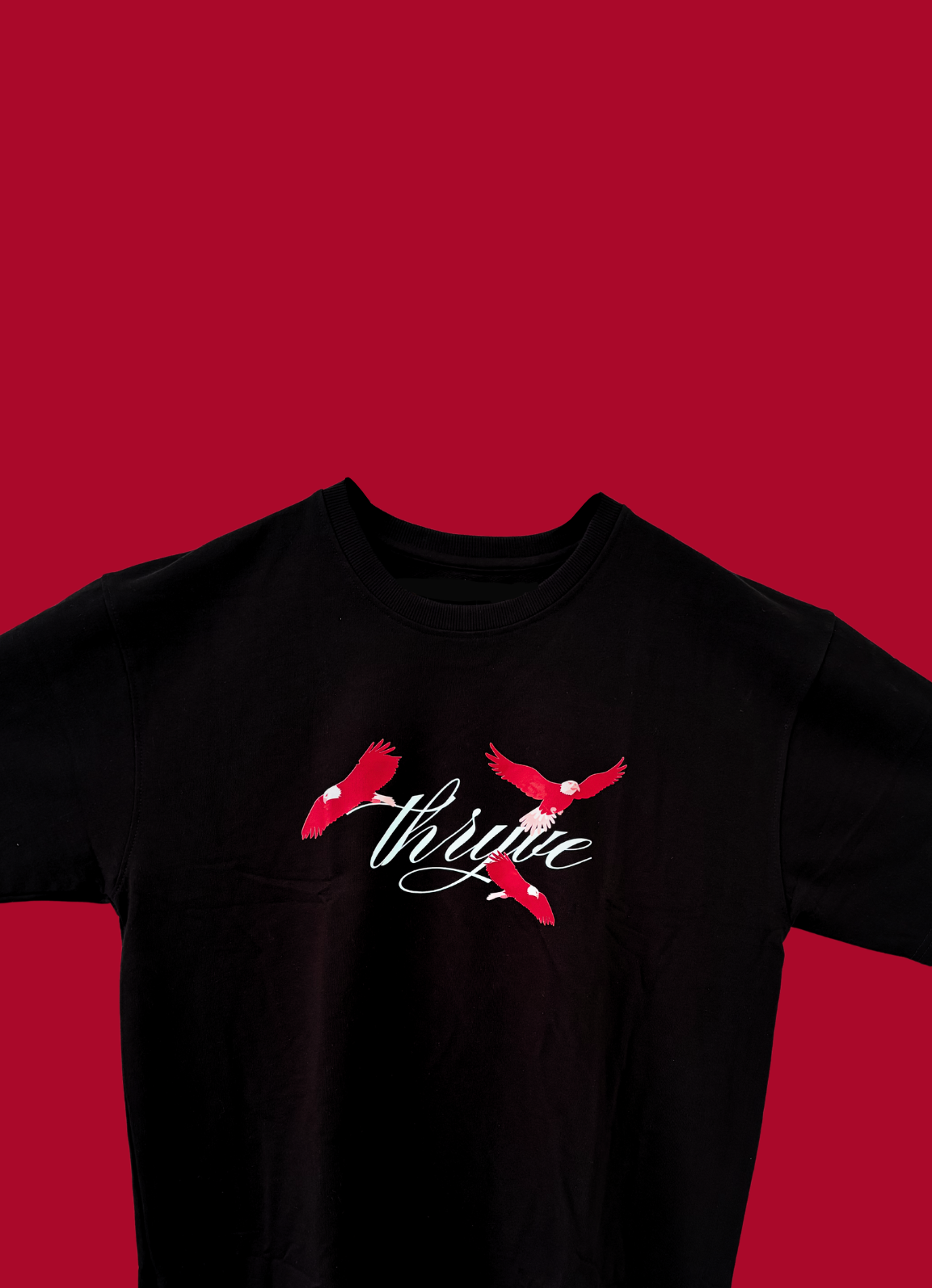 Blazewing Oversized T-Shirt – Fierce Red Hawk Graphic on Black Tee for Bold Streetwear