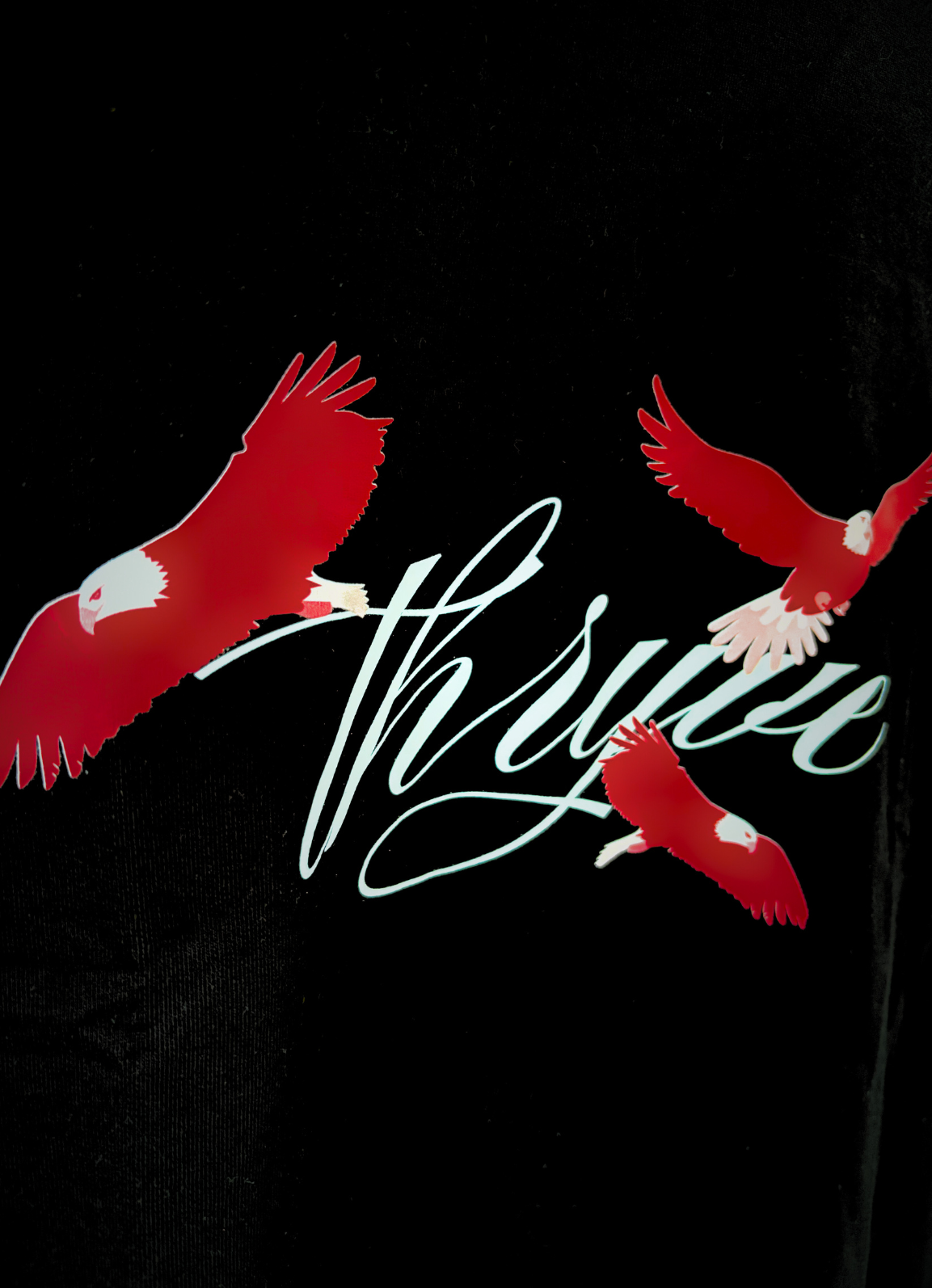 Blazewing Oversized T-Shirt – Fierce Red Hawk Graphic on Black Tee for Bold Streetwear
